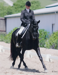 Moon_Valley_dressage